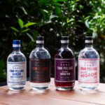 Four Pillars Gin range