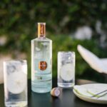 Republic of Fremantle Distillery Gin