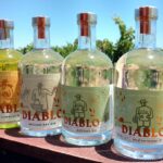 swan valley gin company gins